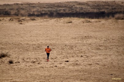 DSC_8137 Loonse en Drunense duinen 2018