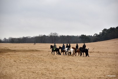 DSC_8199 Loonse en Drunense duinen 2018