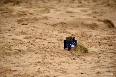 DSC_8212 Loonse en Drunense duinen 2018