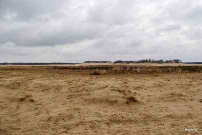 DSC_8214 Loonse en Drunense duinen 2018