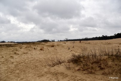 DSC_8216 Loonse en Drunense duinen 2018