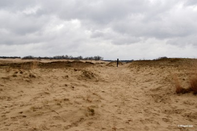 DSC_8219 Loonse en Drunense duinen 2018