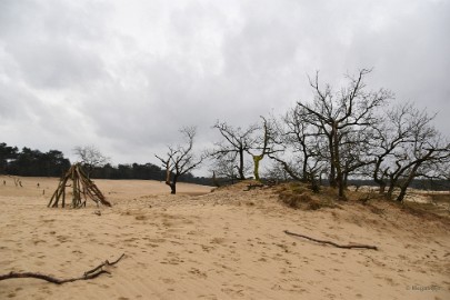 DSC_8239 Loonse en Drunense duinen 2018