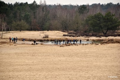 DSC_8262 Loonse en Drunense duinen 2018