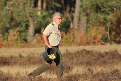 aDSC_1324 De Veluwe