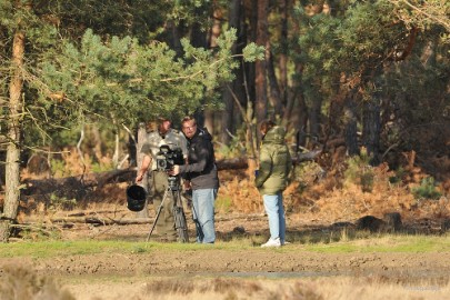 aDSC_1328 De Veluwe