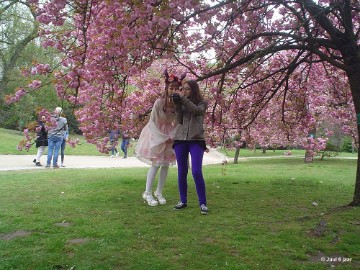 aDSC00147 Foto's Juul 6 jaar in Japanse tuin Hasselt 2019