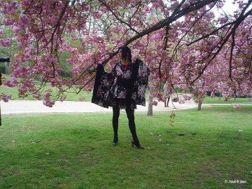 aDSC00150 Foto's Juul 6 jaar in Japanse tuin Hasselt 2019