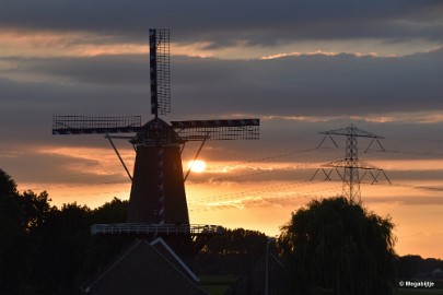 DSC_0060 Molenplas maasvallei 2019