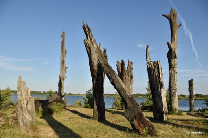 bdDSC_9890 Molenplas maasvallei 2019