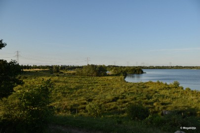 bdDSC_9925 Molenplas maasvallei 2019