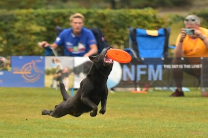 bdfrisbeedogs 2022 09 Amazing Frisbeedogs 2022