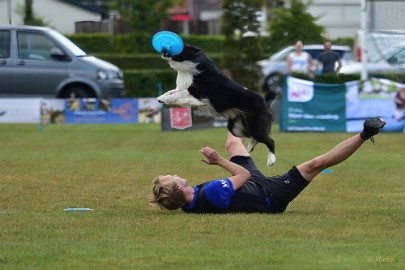 bdfrisbeedogs 2022 42 Amazing Frisbeedogs 2022