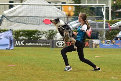 bdfrisbeedogs 2022 43 Amazing Frisbeedogs 2022