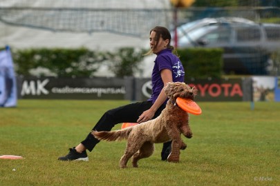 bdfrisbeedogs 2022 45 Amazing Frisbeedogs 2022