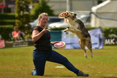 bdfrisbeedogs 2022 47 Amazing Frisbeedogs 2022