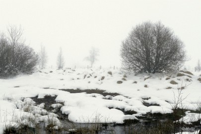 sneeuw barique michel jan 22 16 Hoge Venen Sneeuw 2022