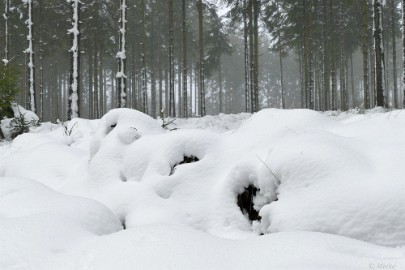 sneeuw barique michel jan 22 28 Hoge Venen Sneeuw 2022