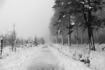 sneeuw barique michel jan 22 47 Hoge Venen Sneeuw 2022