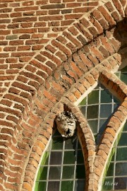 aP1520661 Oude kerk Dongen