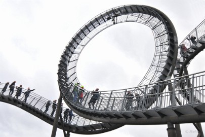 tiger en turtle 2022 02 Tiger und Turtle