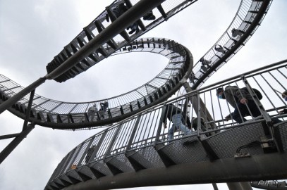 tiger en turtle 2022 11 Tiger und Turtle