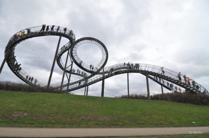 tiger en turtle 2022 22 Tiger und Turtle