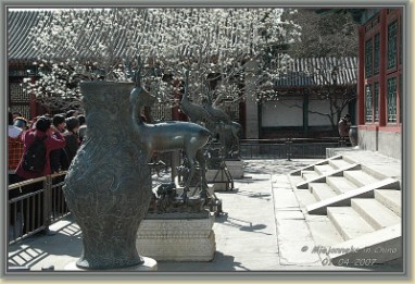 DSC_5194 Het mooiste park van Beijing, het Beihaipark. Druk bij een van de vele tempels.