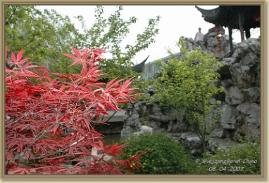 DSC_6637 Xitang, een waterdorp buiten Shanghai. Een speciale tempeltuin.