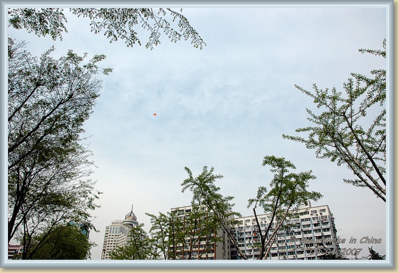 DSC_6879.JPG