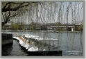 chinaDSC_5131