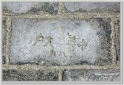 chinaDSC_5682