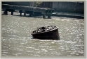 chinaDSC_6360