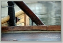 chinaDSC_6684