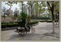 chinaDSC_6833