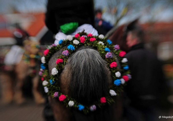 Strao Serooskerke lensbaby 2017