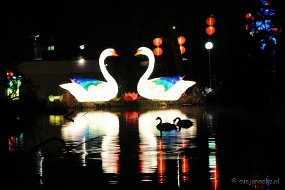 DSC_7448 China festival of Lights