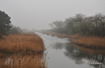 DSC_7982 Amsterdamse waterleiding duinen 2014