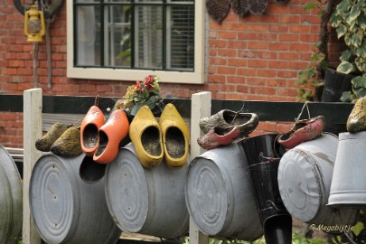 dbDSC_0450 Edam in Augustus